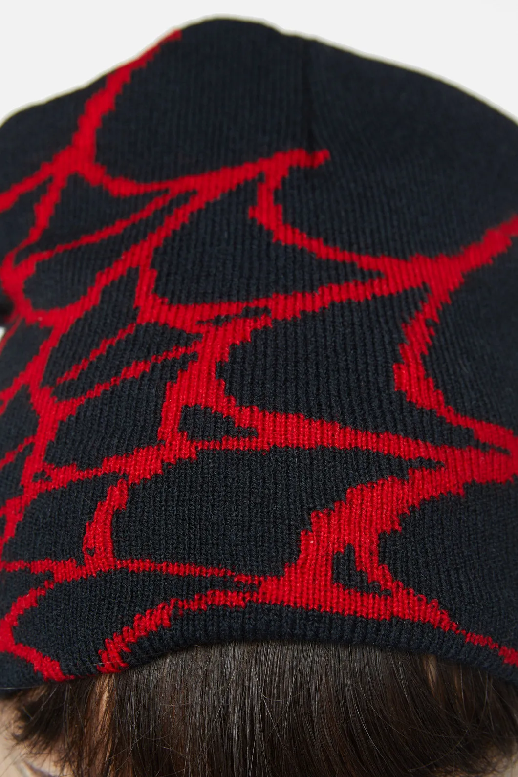 Spider Web Beanie